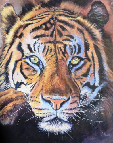 LE TIGRE von Chantal Martin, Malerei kaufen auf Singulart