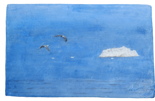 frioul's gulls von christian counord, Andere Medien kaufen auf Singulart