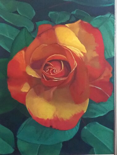 Cromie di una Rosa van Luigi Abbiati, Schilderij te koop op Singulart