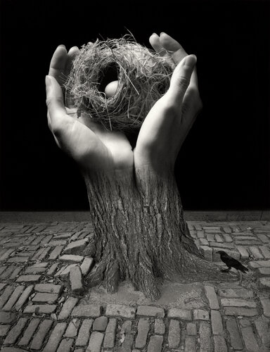Journey Into Night by Jerry Uelsmann, Photography for Sale on Singulart