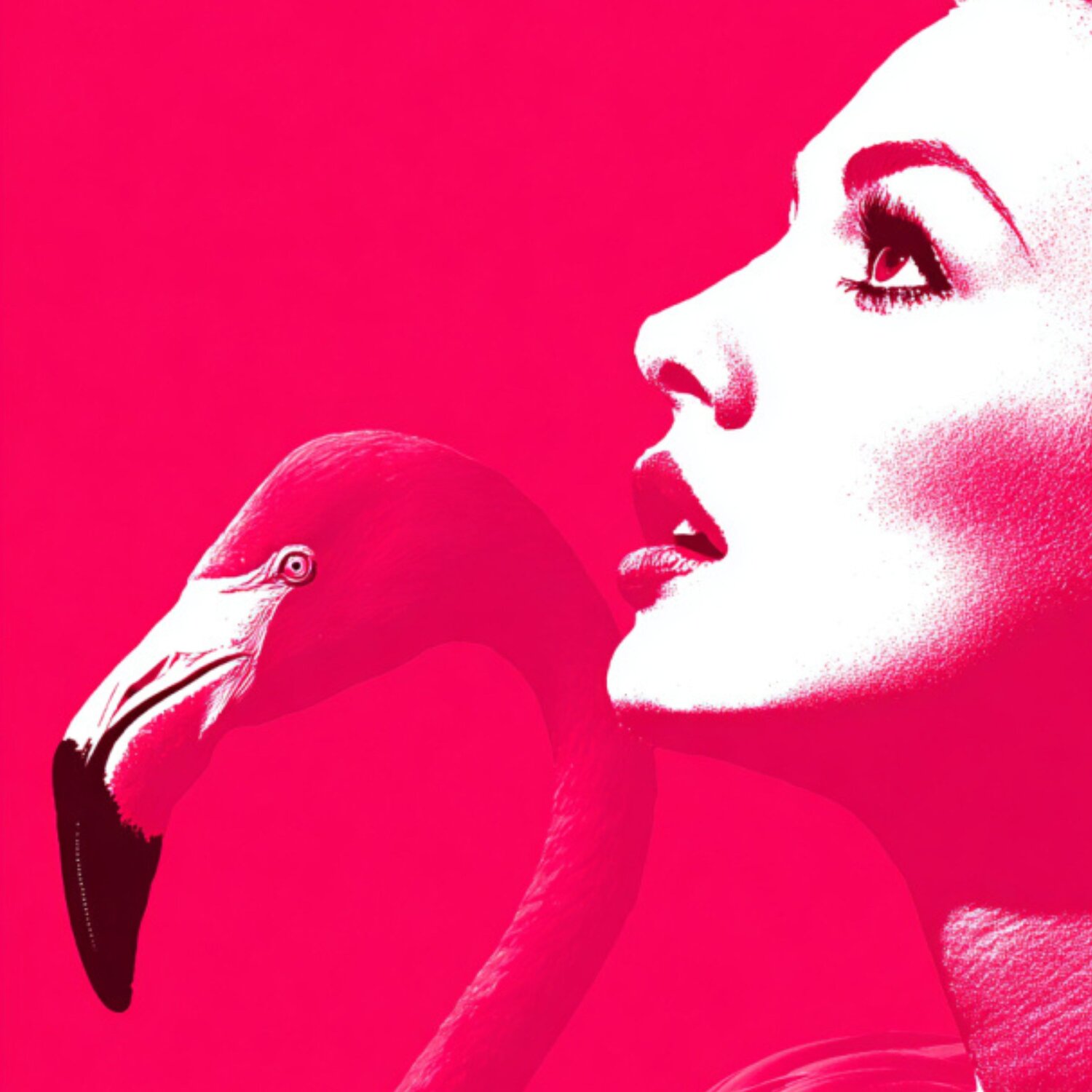 FLAMINGO LOVE Claudia Sauter
