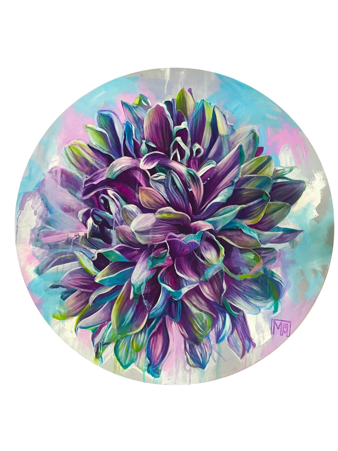 Chrysantheme Maria Mancini