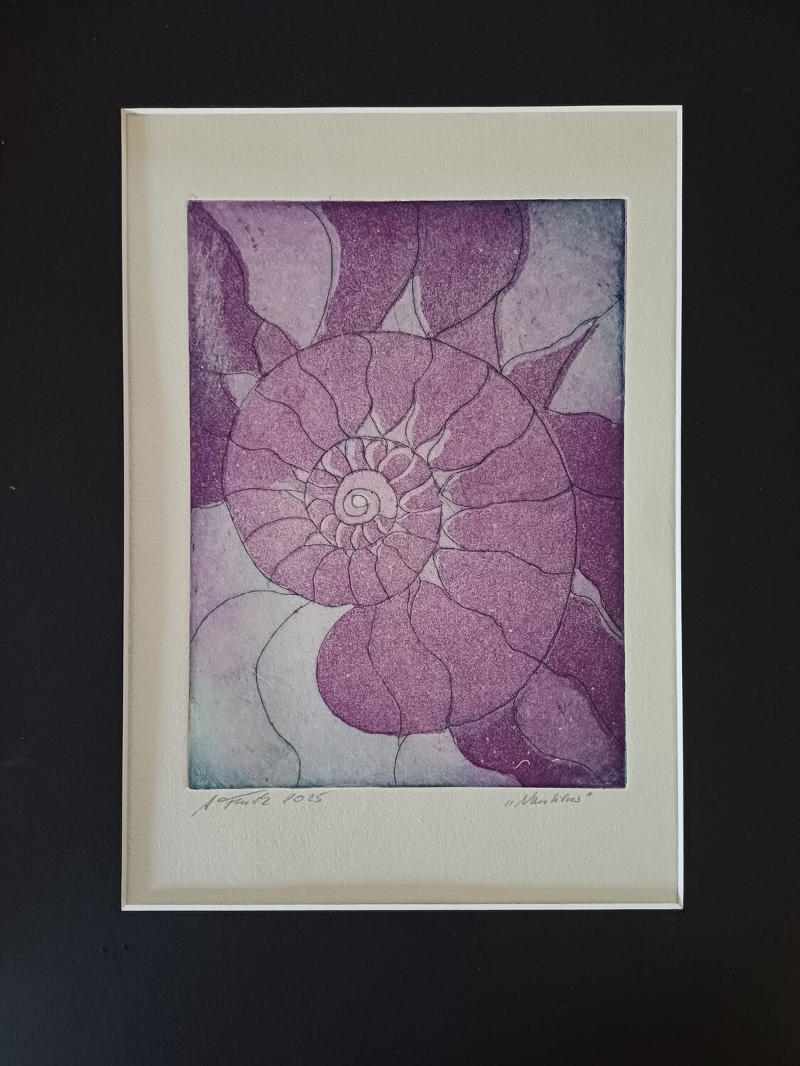 Nautilus, Radierung Andrea Finck