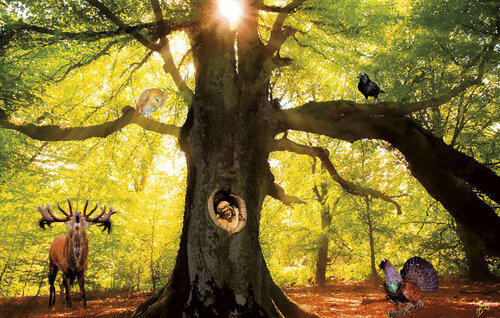 Balzer Herrgott I von Hans Batschauer, Digital kaufen auf Singulart