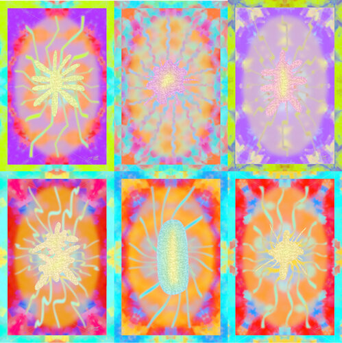 Para Climate Improve 6 parted Ensemble Nr. 9 van Silke Wolff, Digitaal te koop op Singulart