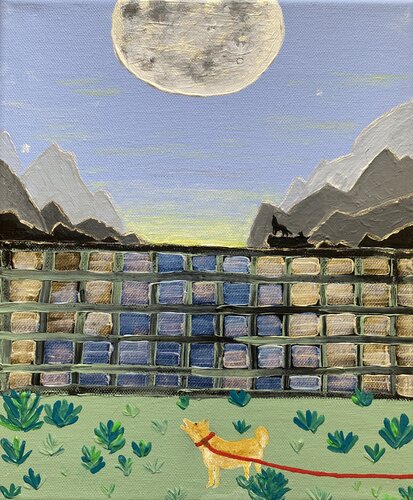 DogVenture van Eva Zauner, Schilderij te koop op Singulart