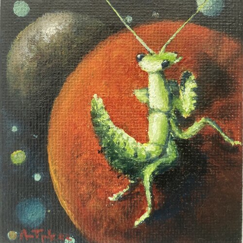 Microcosmos - Praying Mantis de Anne-Tjerk Mante, Pintura a la venta en Singulart
