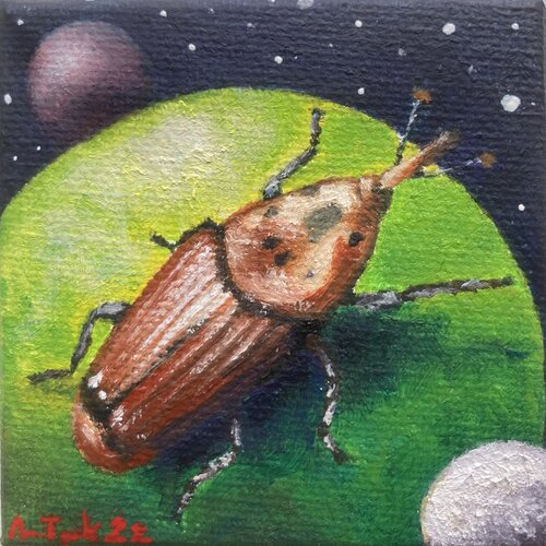 Microcosmos - Red Palm Beetle von Anne-Tjerk Mante, Malerei kaufen auf Singulart