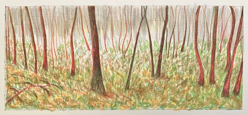 Young forest by Anne-Tjerk Mante, 소묘 for Sale on Singulart