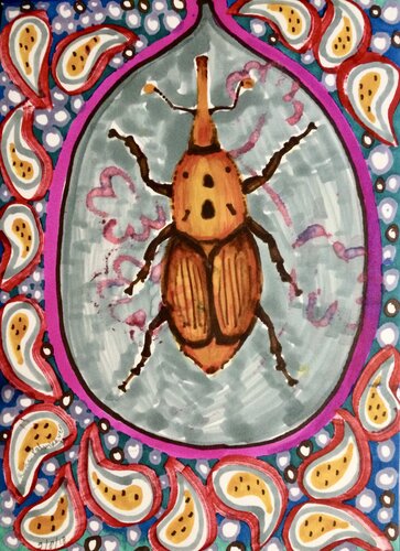 Red Palm Beetle von Anne-Tjerk Mante, Zeichnungen kaufen auf Singulart