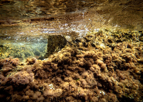 golden hour #03 van Beatriz Minguez de Molina, Fotografie te koop op Singulart