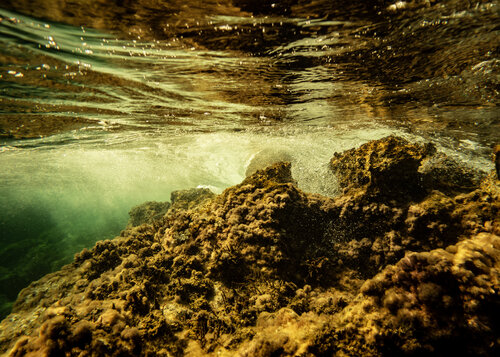 golden hour #05 di Beatriz Minguez de Molina, Fotografia in vendita su Singulart