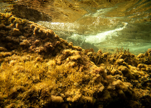 golden hour #07 di Beatriz Minguez de Molina, Fotografia in vendita su Singulart