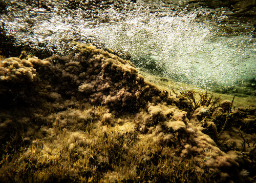 golden hour #08 di Beatriz Minguez de Molina, Fotografia in vendita su Singulart