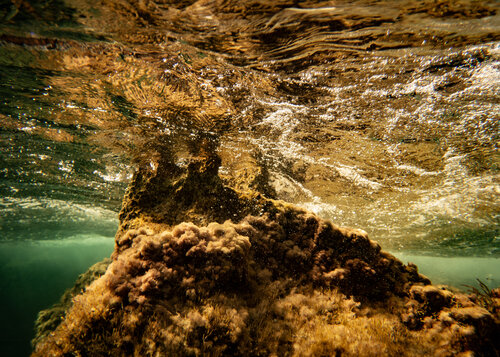 golden hour #09 di Beatriz Minguez de Molina, Fotografia in vendita su Singulart