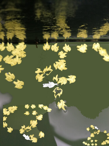 Venice - Sinking city van Susie Wright, Digitaal te koop op Singulart