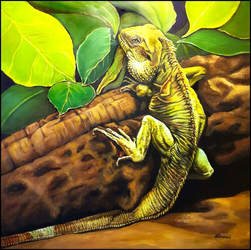 Leguan di Monika Linard, Pittura in vendita su Singulart