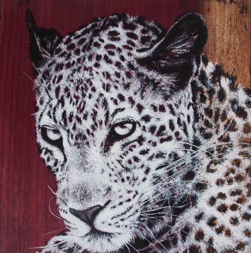 Leopard, Kopf, Eingeborener 1, Diptychon von Wolfgang Eberhardt, Malerei kaufen auf Singulart