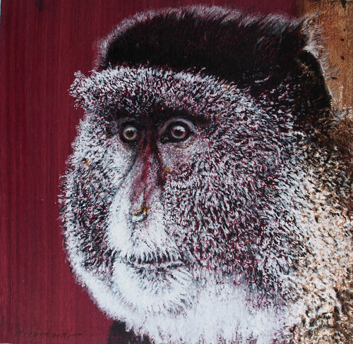 Affe, Eingeborener 2, Diptychon von Wolfgang Eberhardt, Malerei kaufen auf Singulart