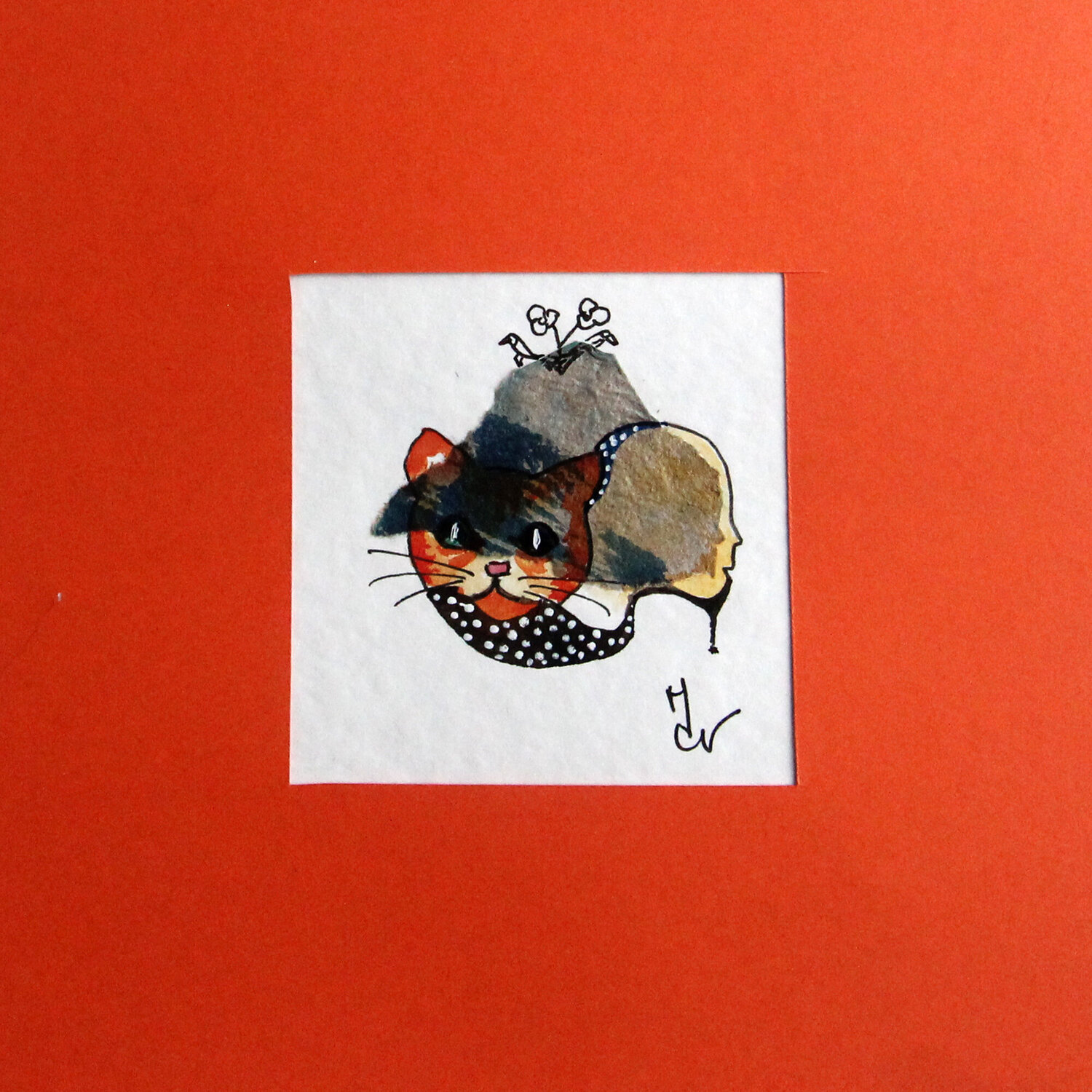 Chat au visage Valentine Carre