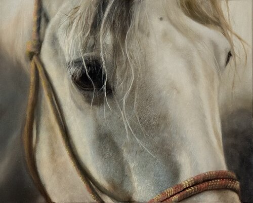 The Quiet Bond by Tanja Kunze, Painting for Sale on Singulart