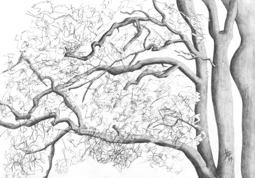 Oxleas Woods di Lisa McGilben, Opera su carta in vendita su Singulart