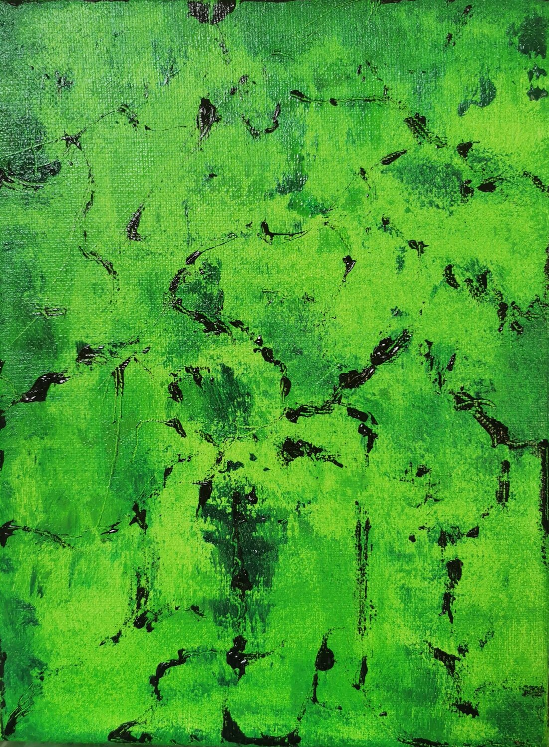 Green 12 Piras Alexandra