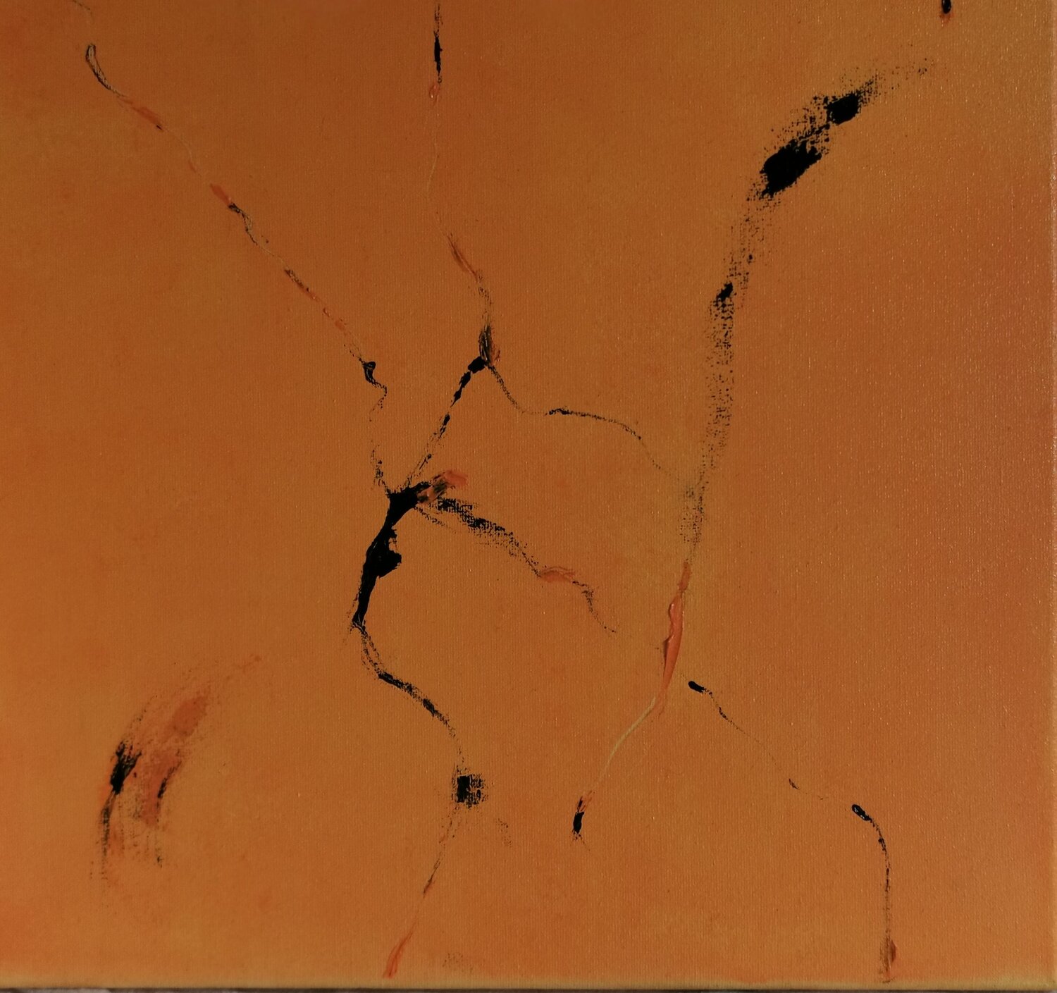 Variation on orange distortions Piras Alexandra