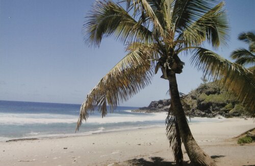 Plage de Grand Anse - Evasion tropicale Willy HERVY