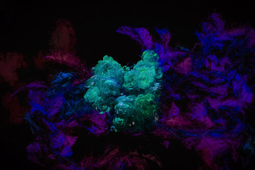 Dark wedding by Peter Teuschel, 사진 for Sale on Singulart