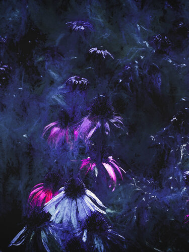 March of the souls by Peter Teuschel, 사진 for Sale on Singulart