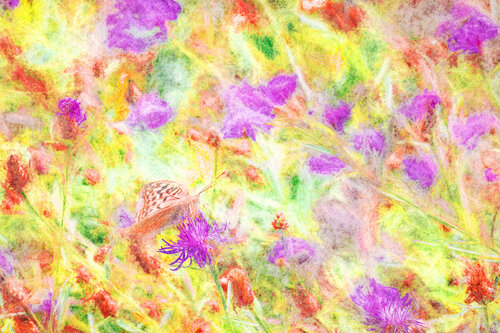 Meadows 3 von Peter Teuschel, Fotografie kaufen auf Singulart