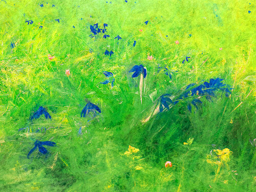 Meadows 13 by Peter Teuschel, 사진 for Sale on Singulart