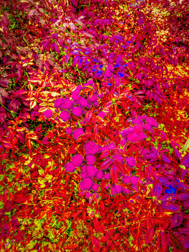 Summer day di Peter Teuschel, Fotografia in vendita su Singulart