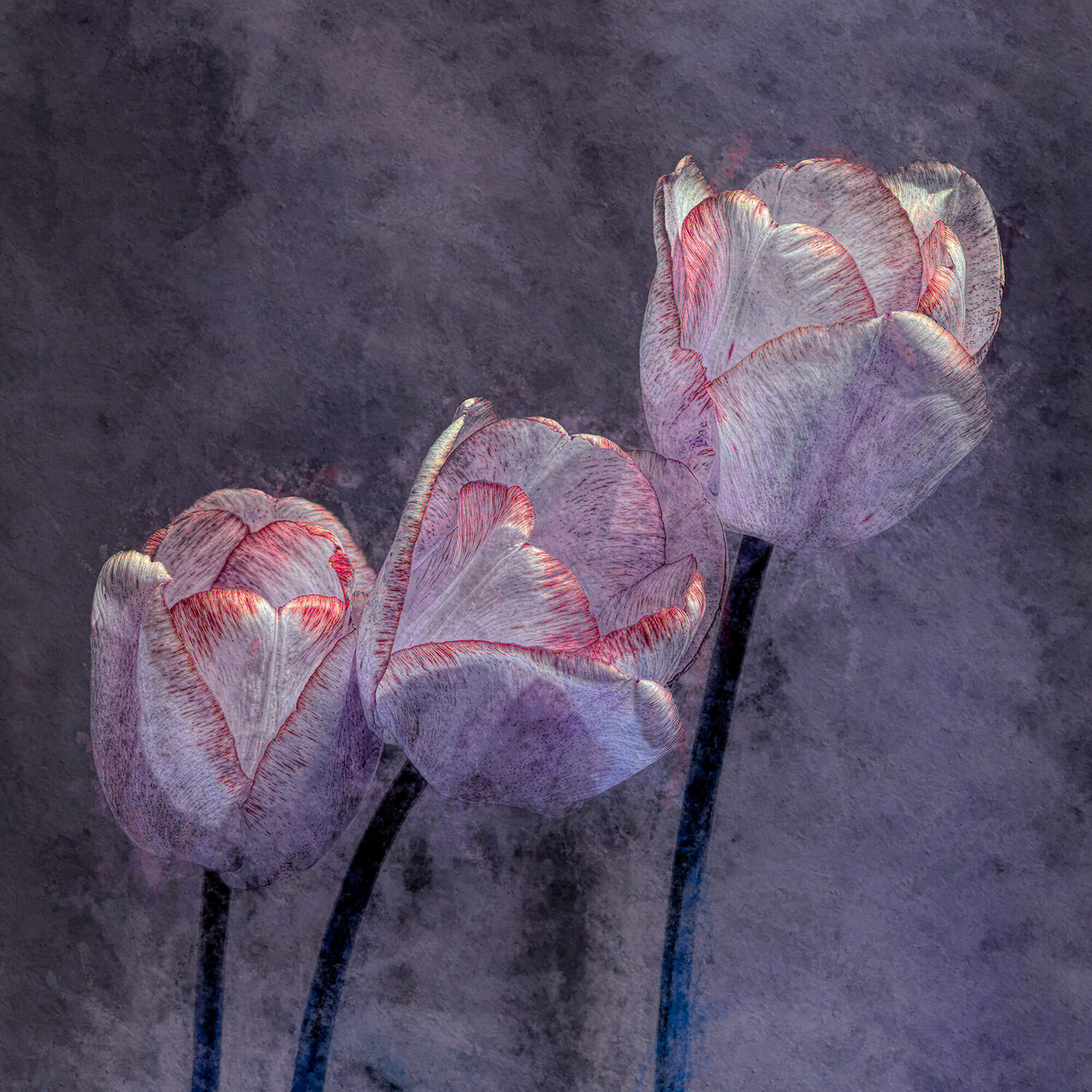 Longing Peter Teuschel