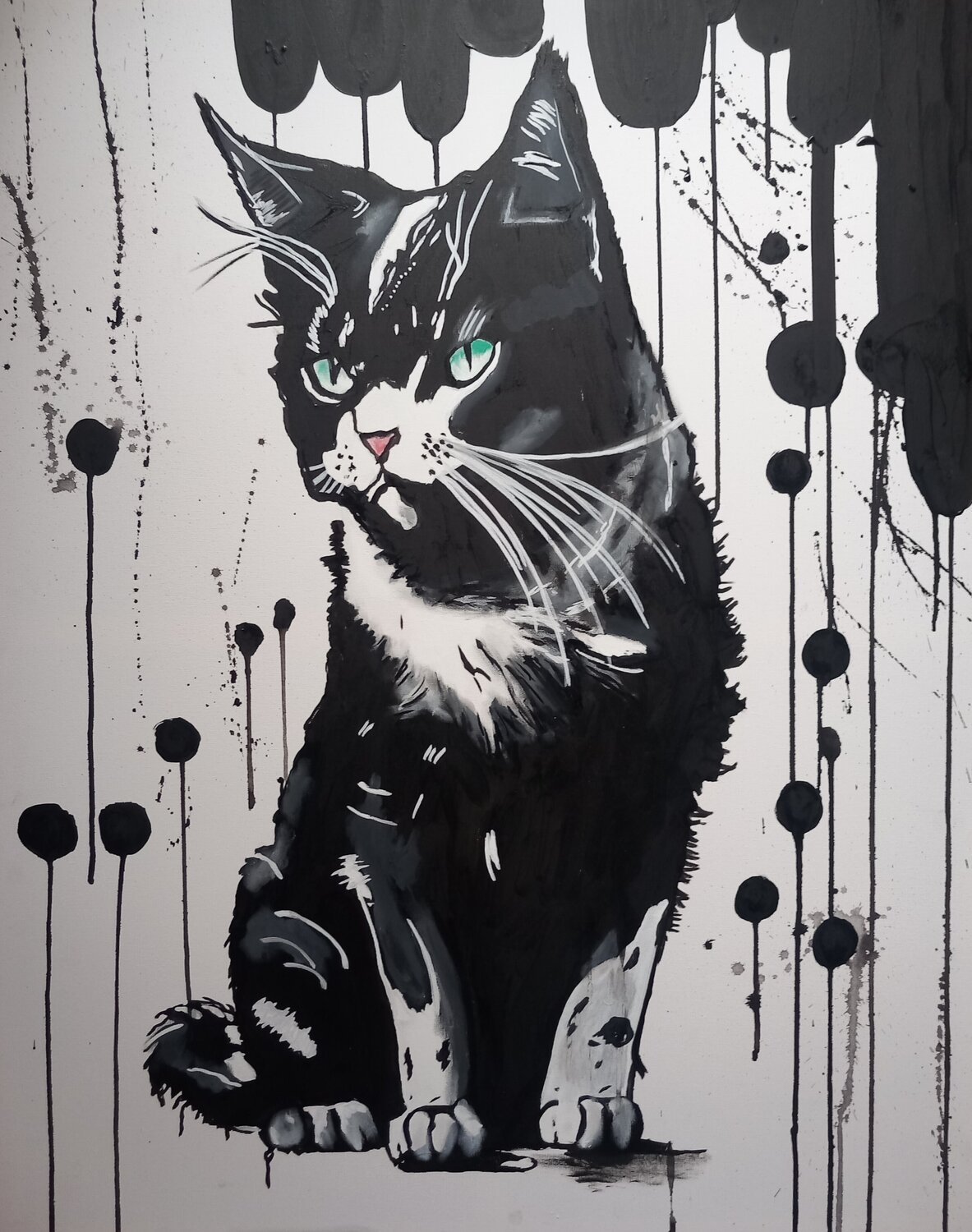 Black Cat Ole Müller