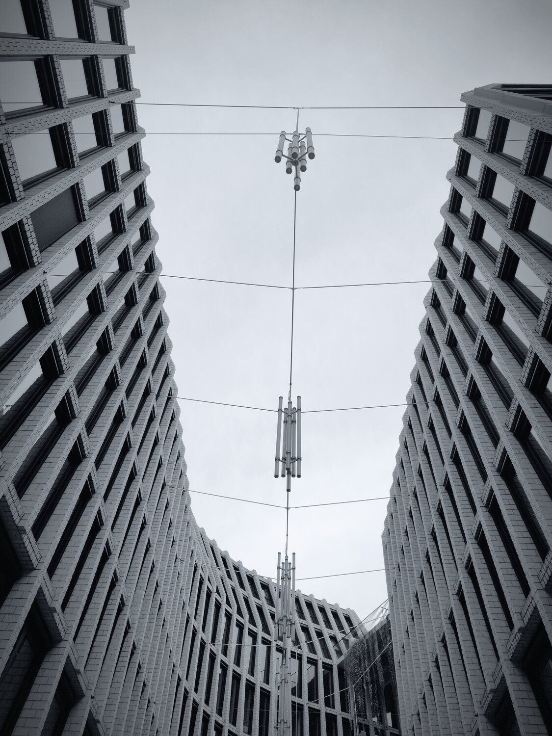 Neue Tacheles David Söllner