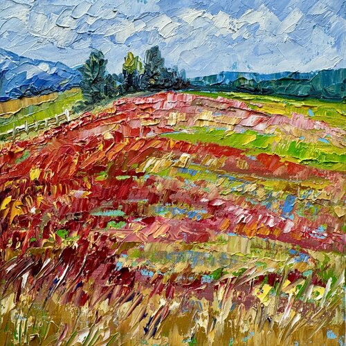 Poppies Painting Original Oil Artwork Impasto Red Poppies Flower Field 20/20 Nataliya Rozhdestvenskaya