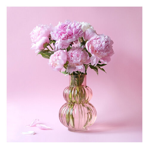 Pink Peonies par Marijon Walter, Photographie en vente sur Singulart