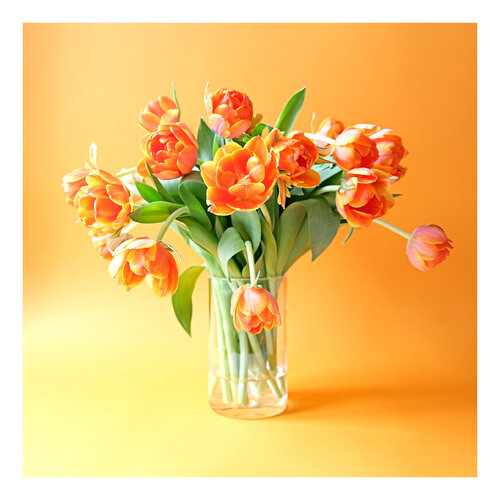 Tulips orange in front of orange II par Marijon Walter, Photographie en vente sur Singulart