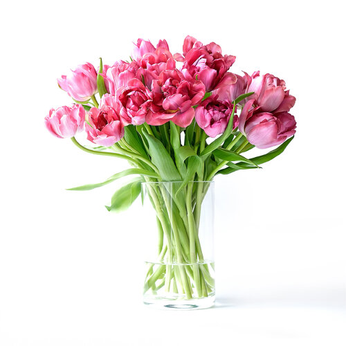 Bright red tulips von Marijon Walter, Fotografie kaufen auf Singulart