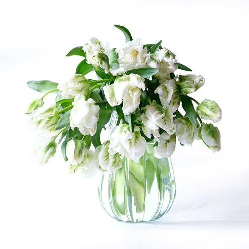 Bright white tulips von Marijon Walter, Fotografie kaufen auf Singulart
