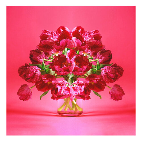 Red muse de Marijon Walter, Fotografía a la venta en Singulart