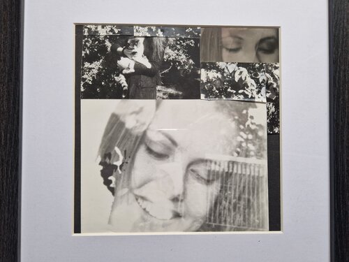 Katzen Mamma Daria Sonja Kehrer