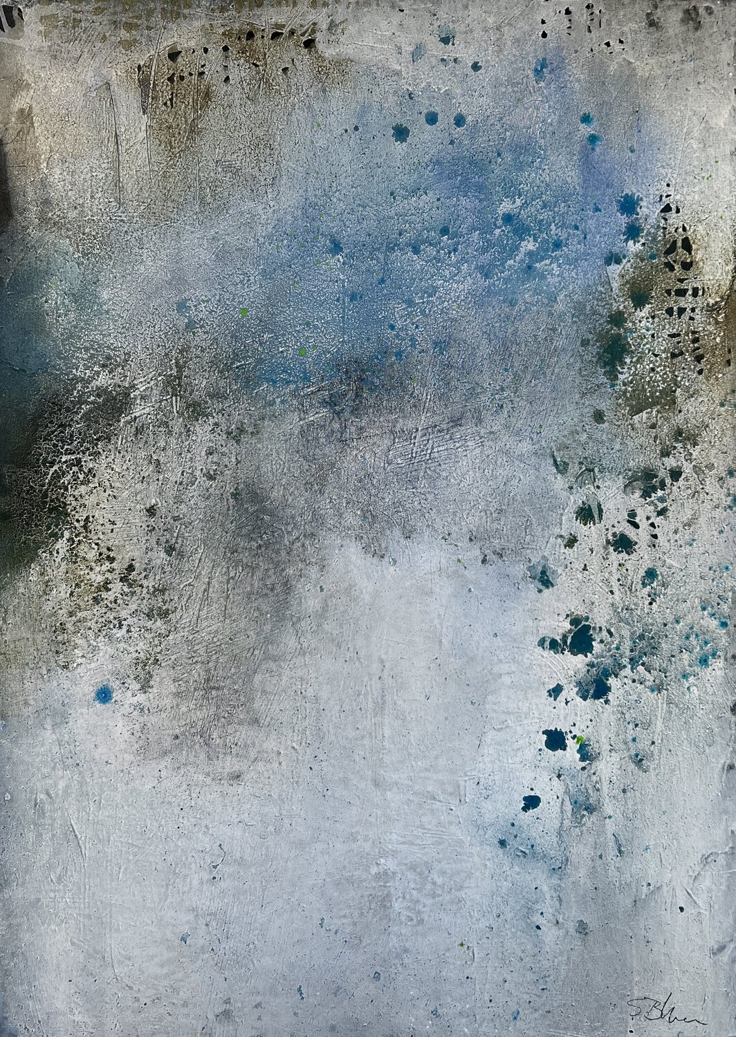 frozen fields Susanne Blum