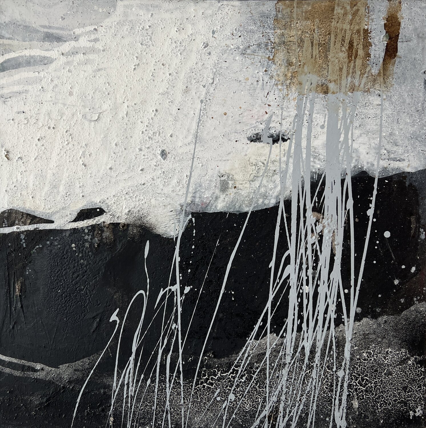 Did you see the signs (2) Susanne Blum