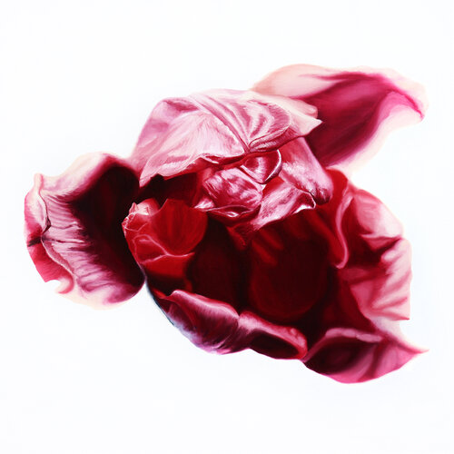 Wonderful Orange Yellow Tulip No.7 van Sabine Siewert, Schilderij te koop op Singulart