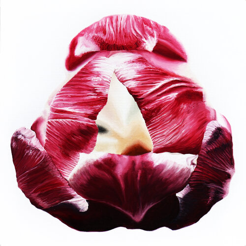 Wonderful Pink Tulip No.3 van Sabine Siewert, Schilderij te koop op Singulart