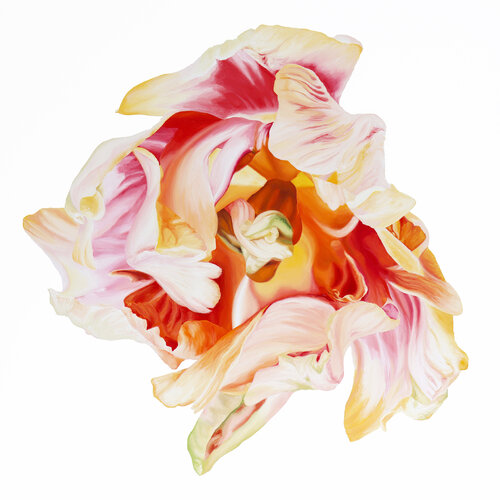 Wonderful Colorful Tulip No.1 van Sabine Siewert, Schilderij te koop op Singulart