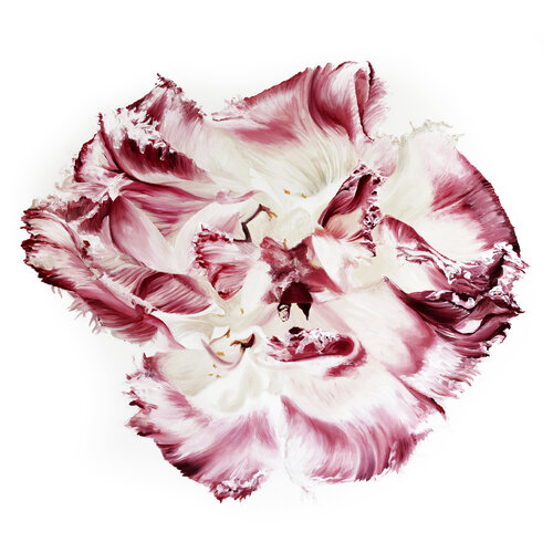 Wonderful Berry Tulip No.1 van Sabine Siewert, Schilderij te koop op Singulart